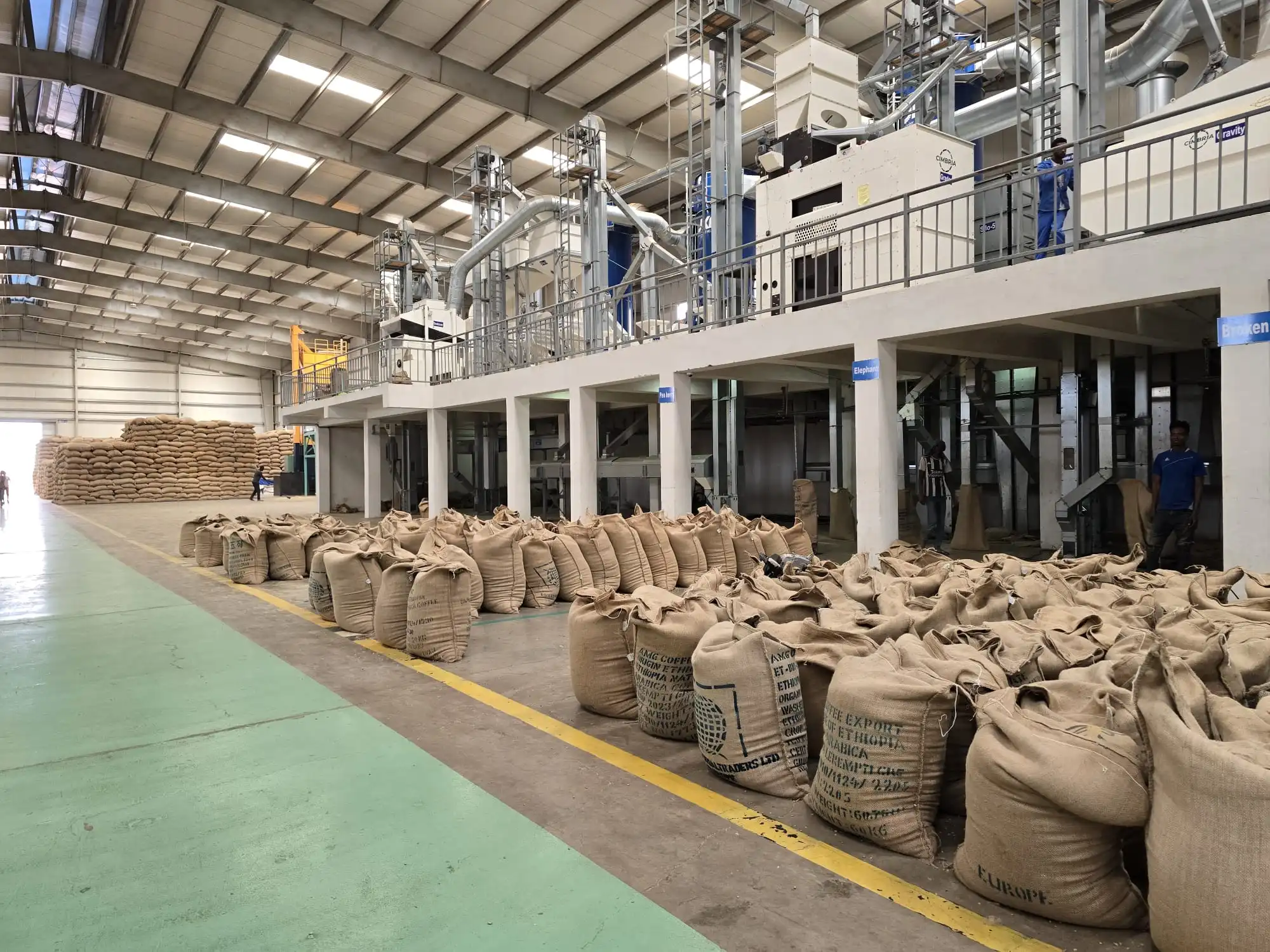 Ethiopian coffee and agricultural trade exports